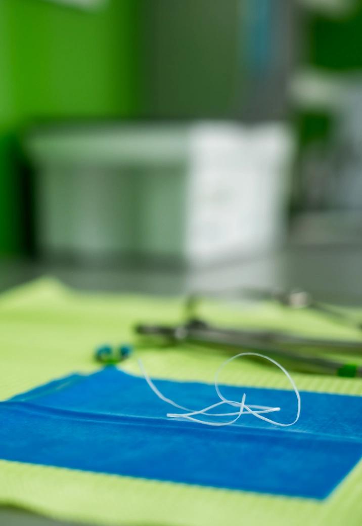 Prevence a&nbsp;včasná diagnostika